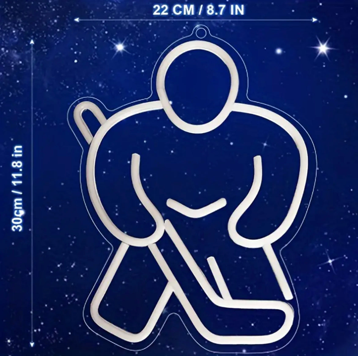 Neon LED Goalie Sign